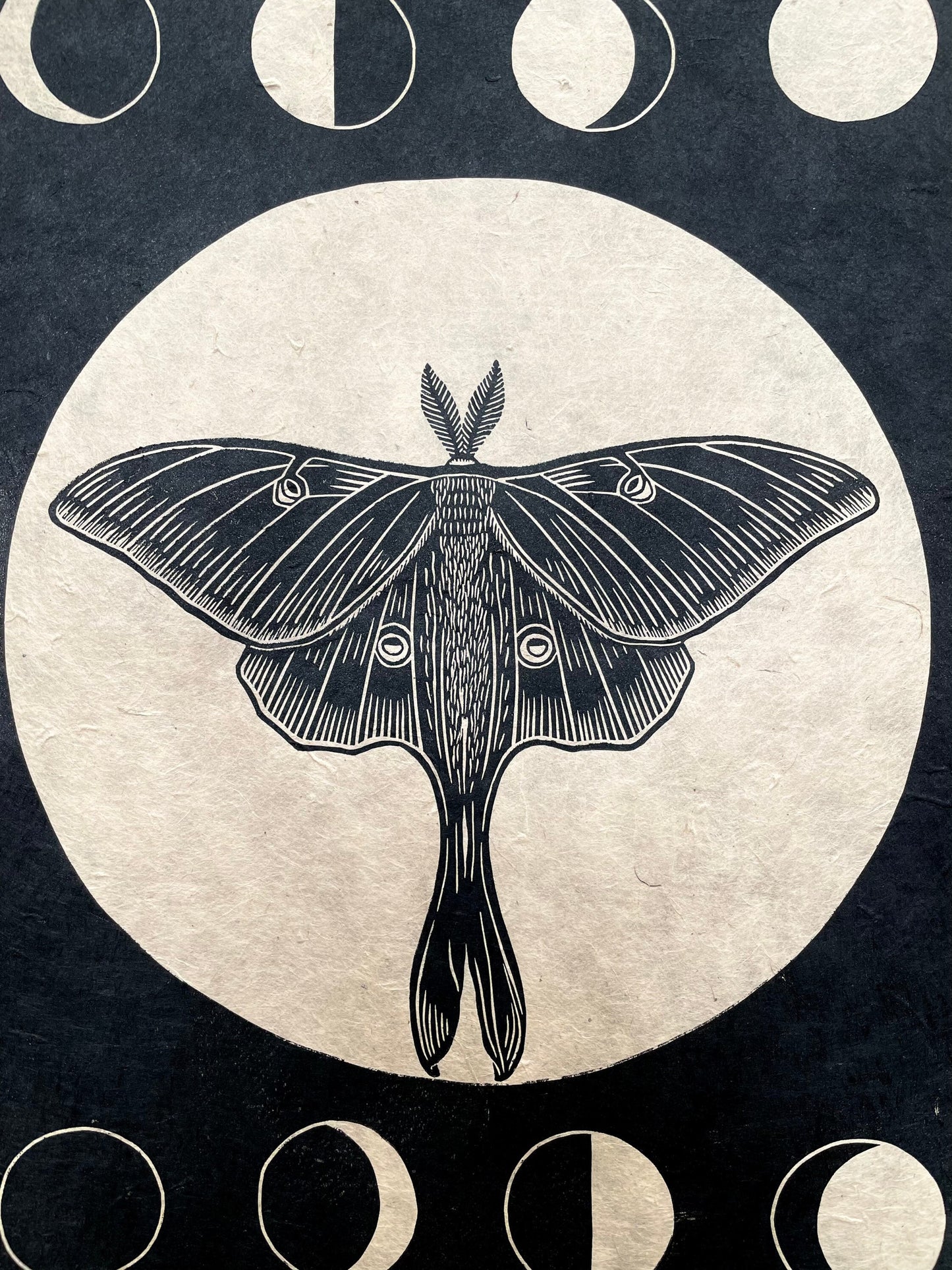 Luna Moth linocut print