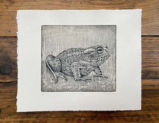 Toad aquatint etching