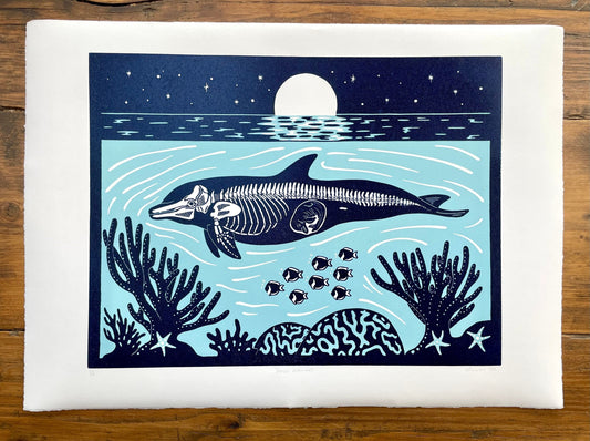 Dolphin anatomy linocut print - colour