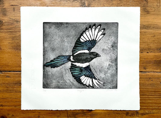 Magpie aquatint etching