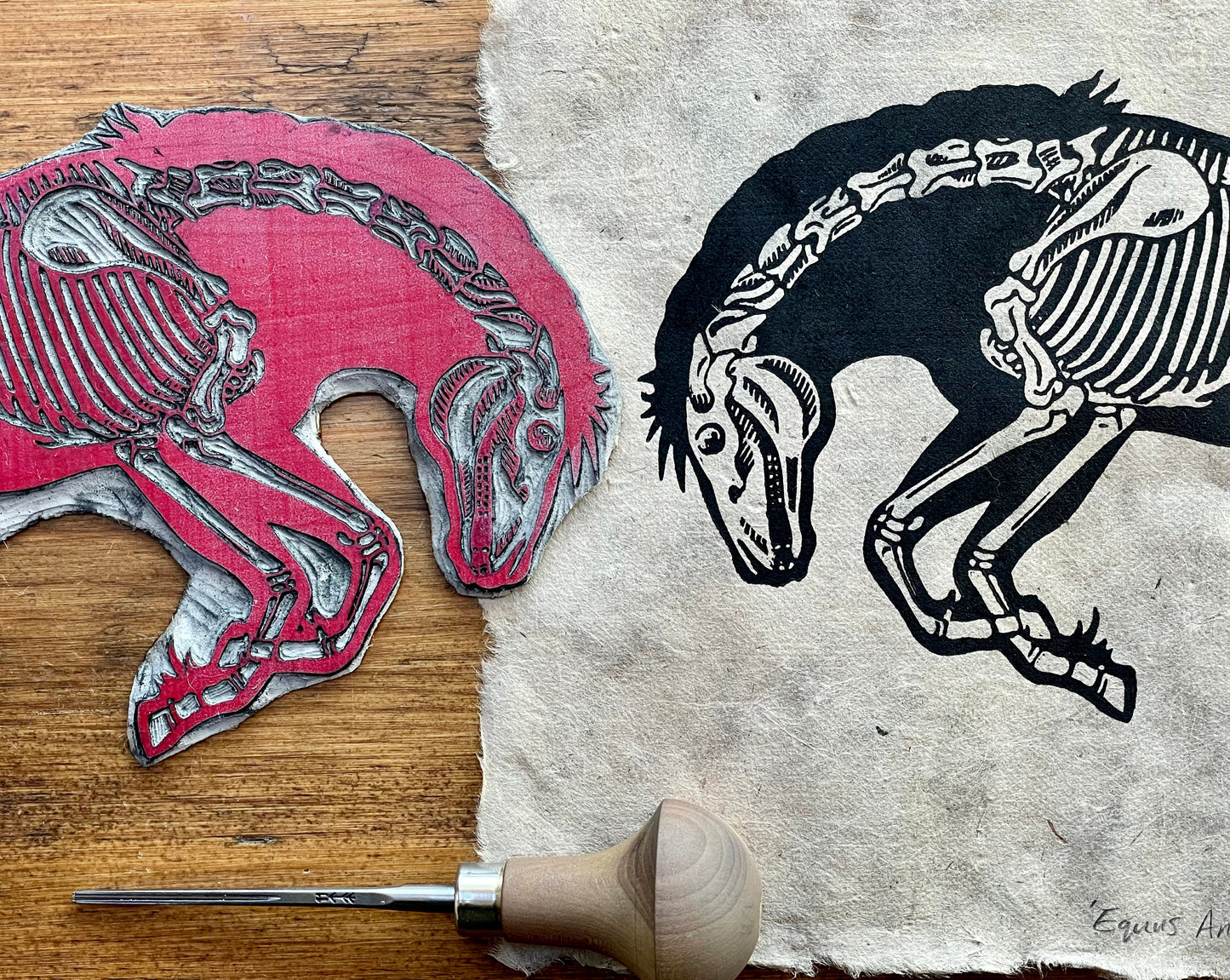 Horse anatomy linocut print