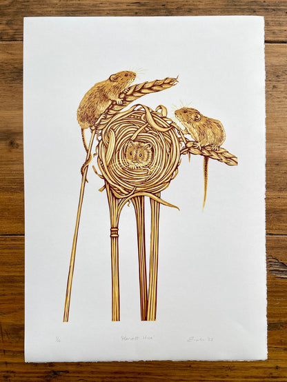 Harvest Mice linocut print