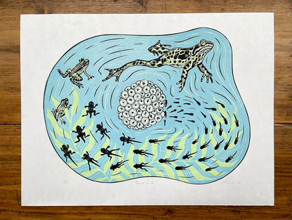 Frog life cycle linocut print - colour