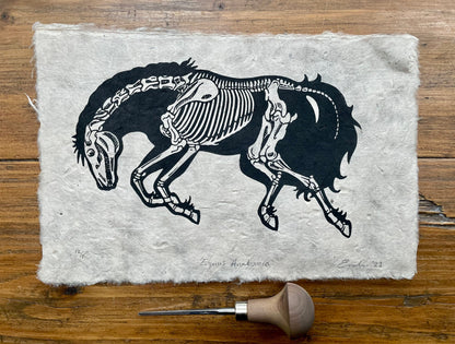 Horse anatomy linocut print