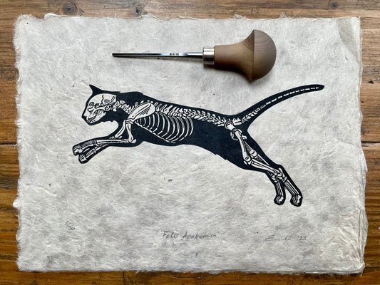 Cat anatomy linocut print