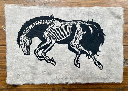 Horse anatomy linocut print