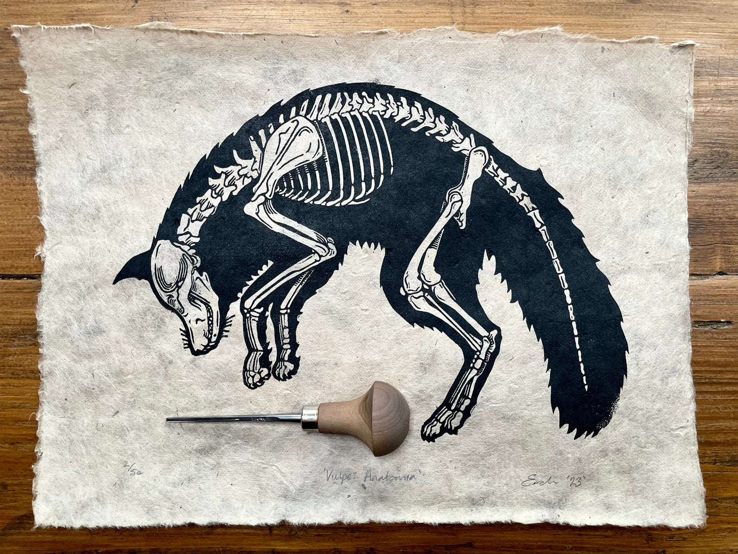 Fox anatomy linocut print