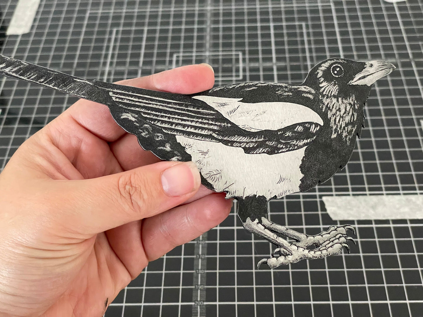 Magpie etching