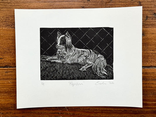 Papillon wood engraving