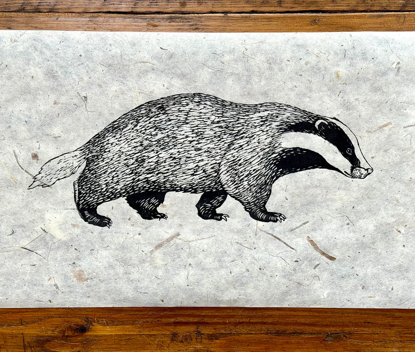 Badger linocut print