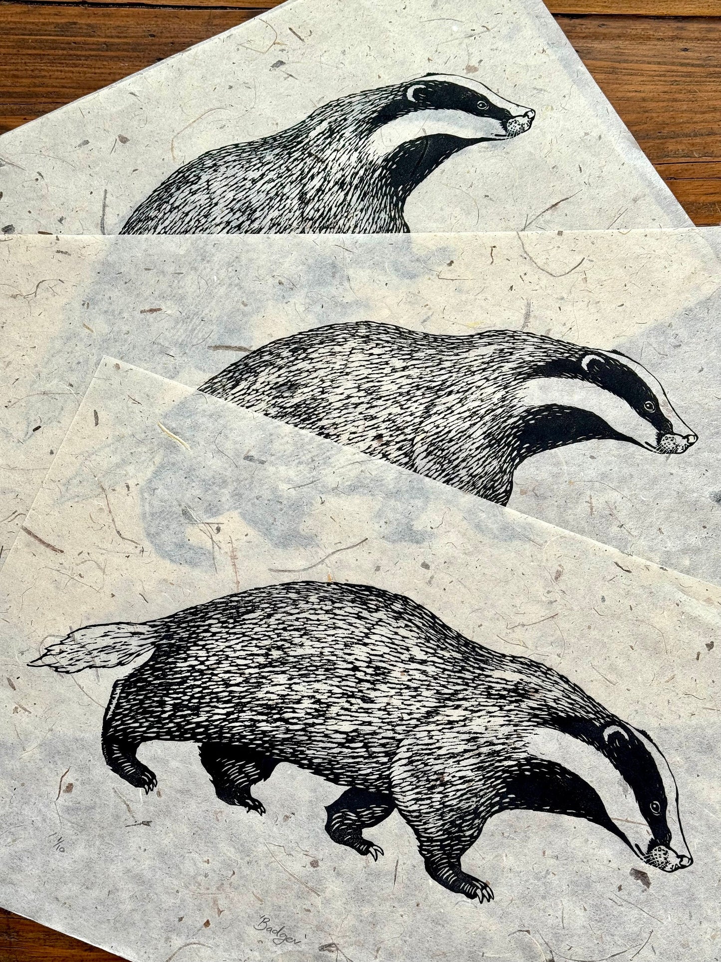 Badger linocut print