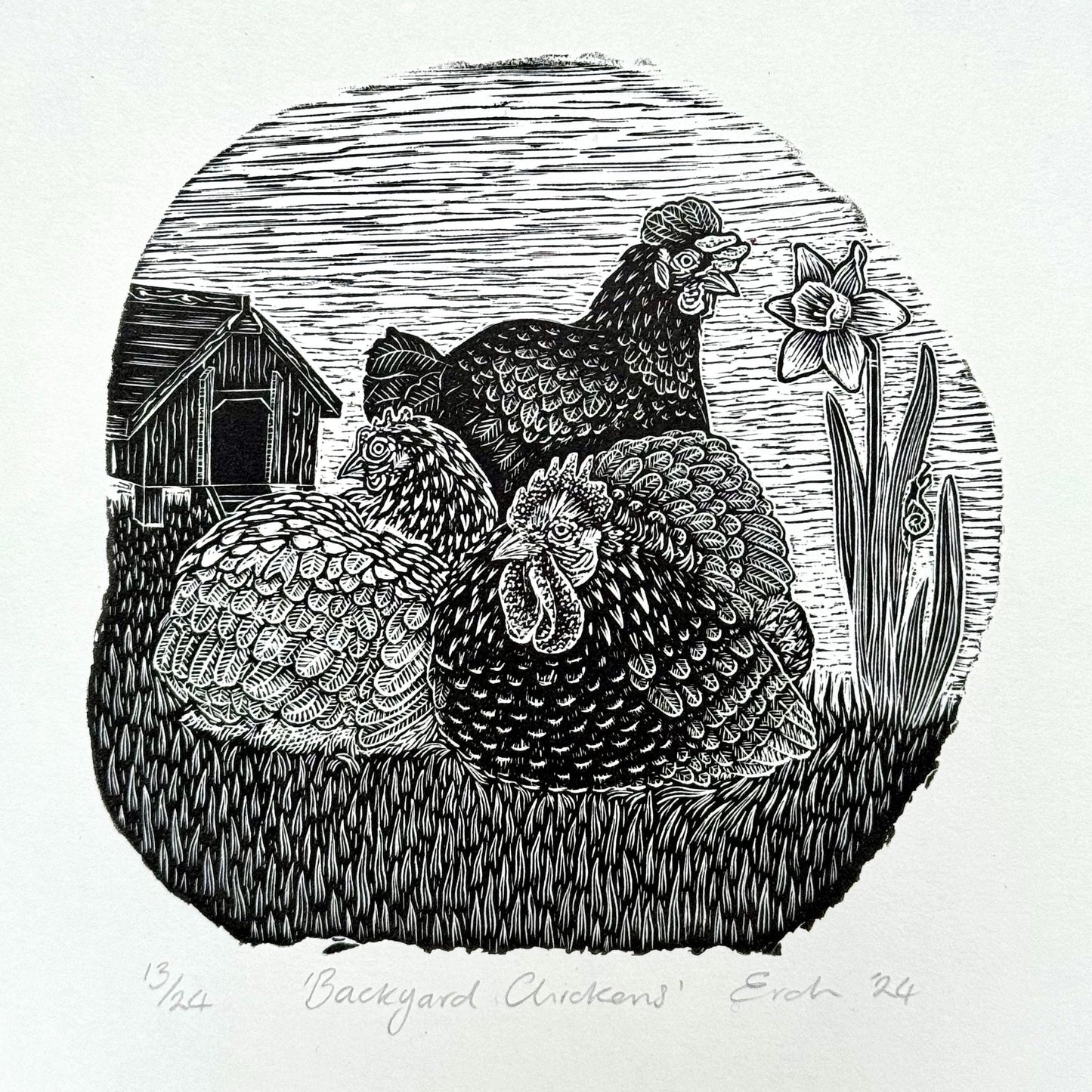 Backyard Chickens - wood engraving