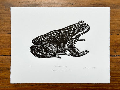 Common Frog linocut print