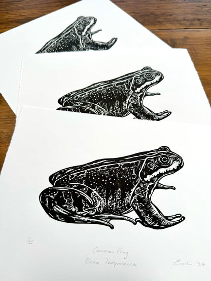 Common Frog linocut print