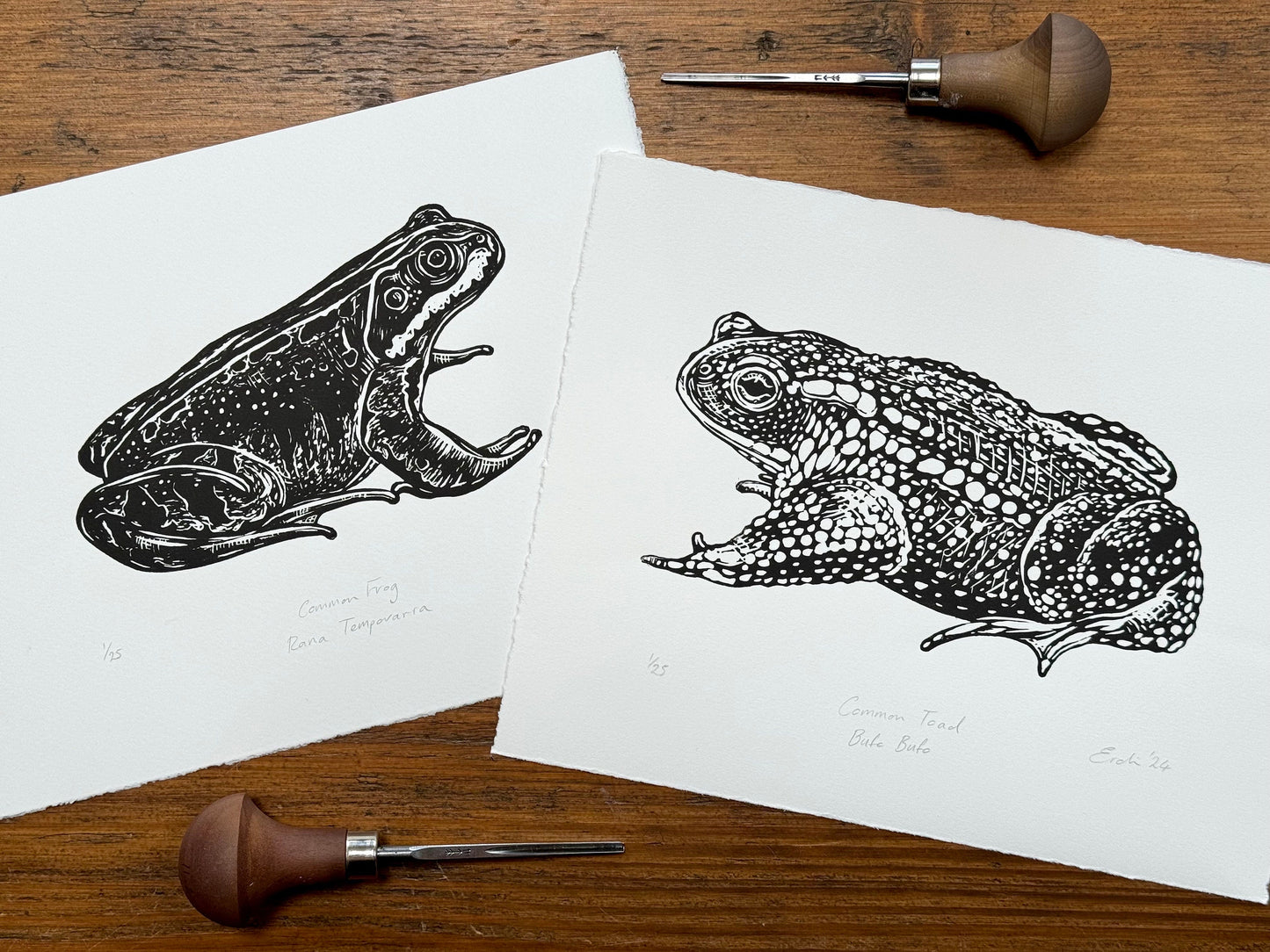 Common Frog linocut print