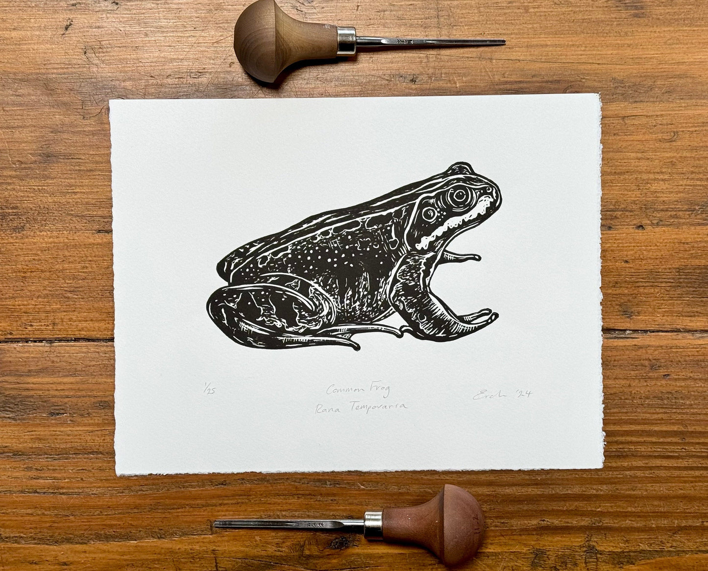 Common Frog linocut print