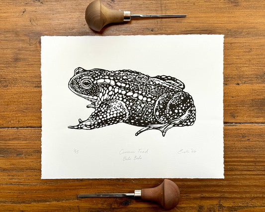 Common Toad linocut print