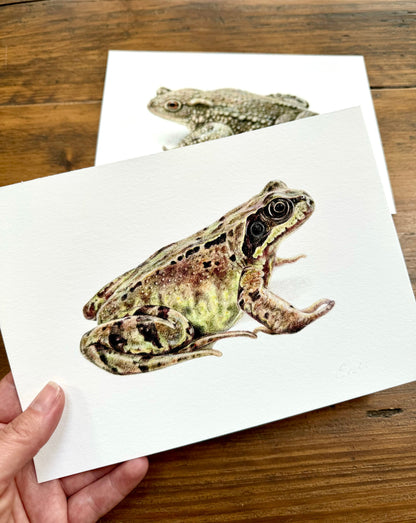 Frog and Toad drawings - Giclée prints