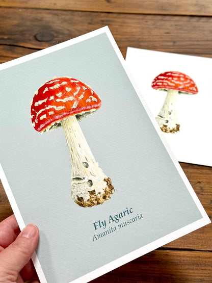 Fly agaric mushroom - Giclée prints