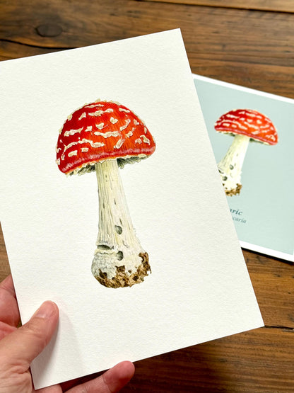 Fly agaric mushroom - Giclée prints