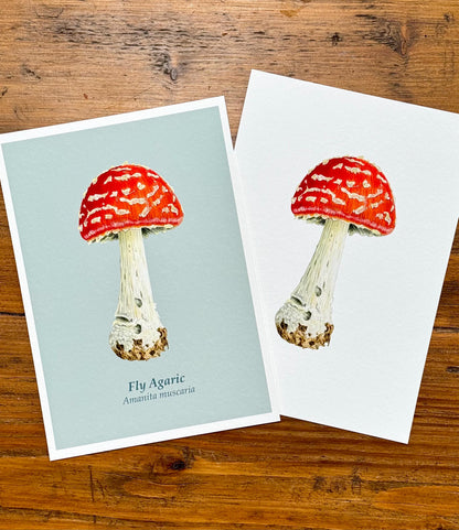 Fly agaric mushroom - Giclée prints