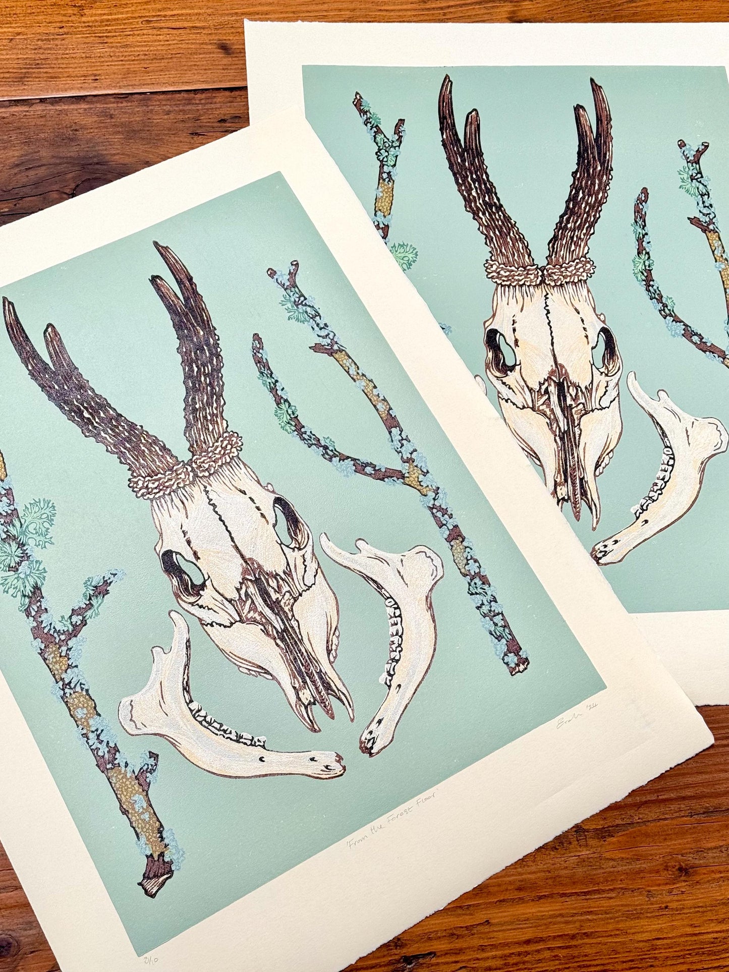 From the Forest Floor- Deer skull linocut print