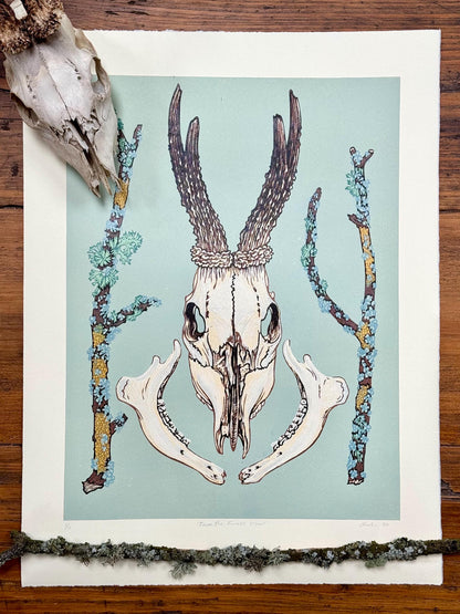 From the Forest Floor- Deer skull linocut print