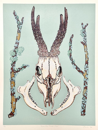 From the Forest Floor- Deer skull linocut print