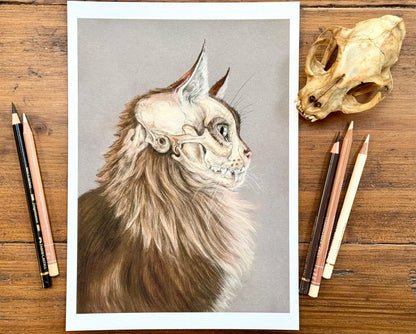 Cat portrait with skull - Giclée prints