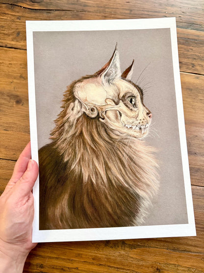 Cat portrait with skull - Giclée prints