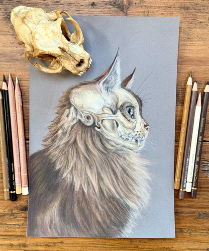 Cat portrait with skull - Giclée prints