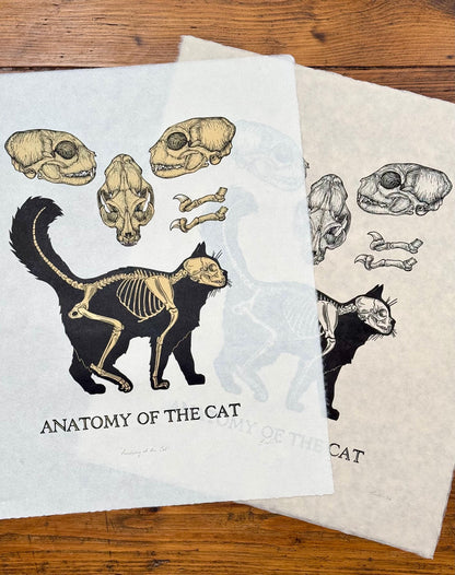 Cat Anatomy linocut prints