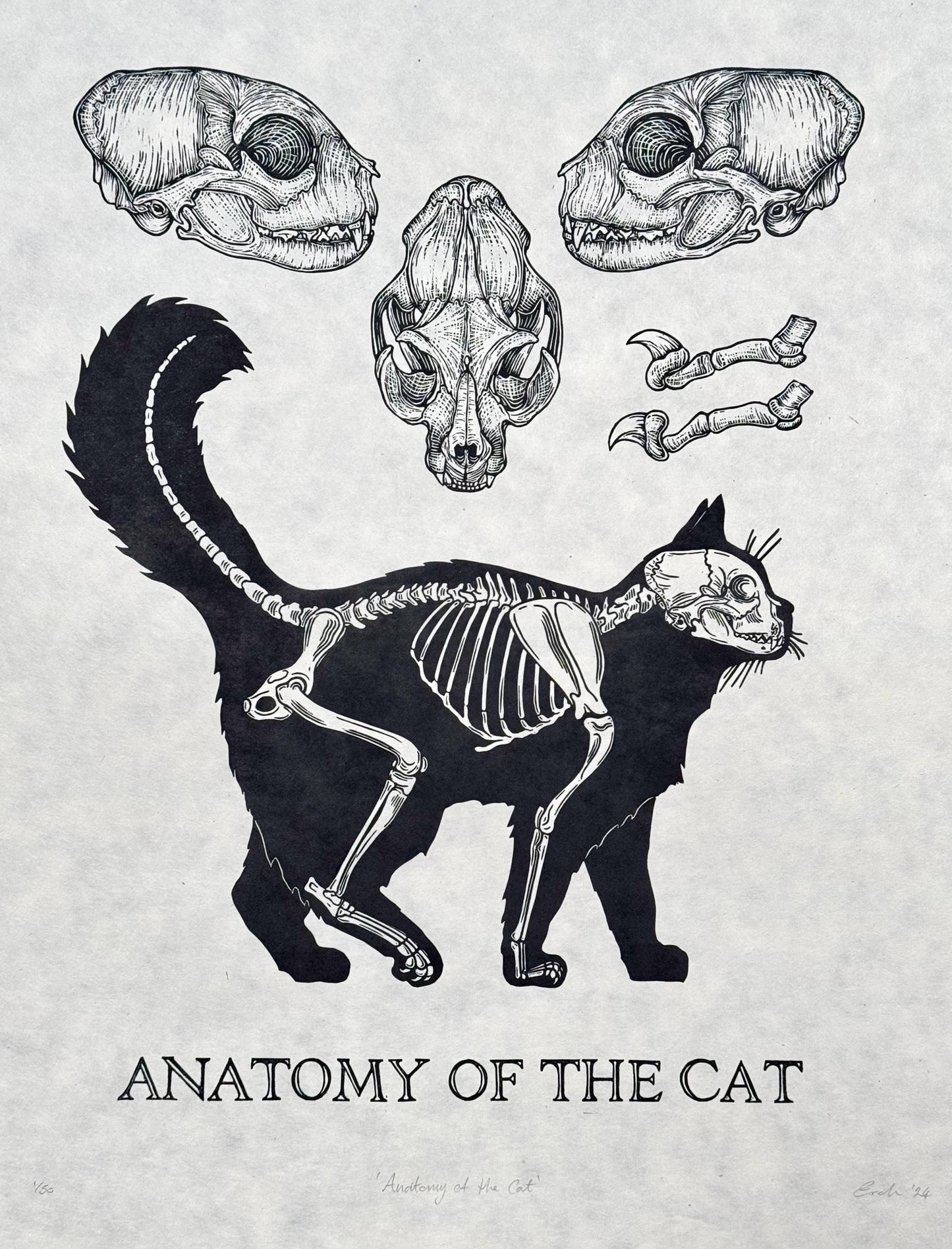 Cat Anatomy linocut prints