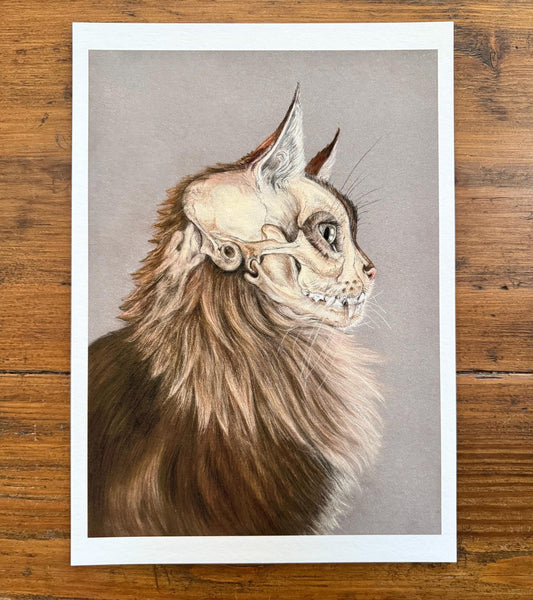 Cat portrait with skull - Giclée prints