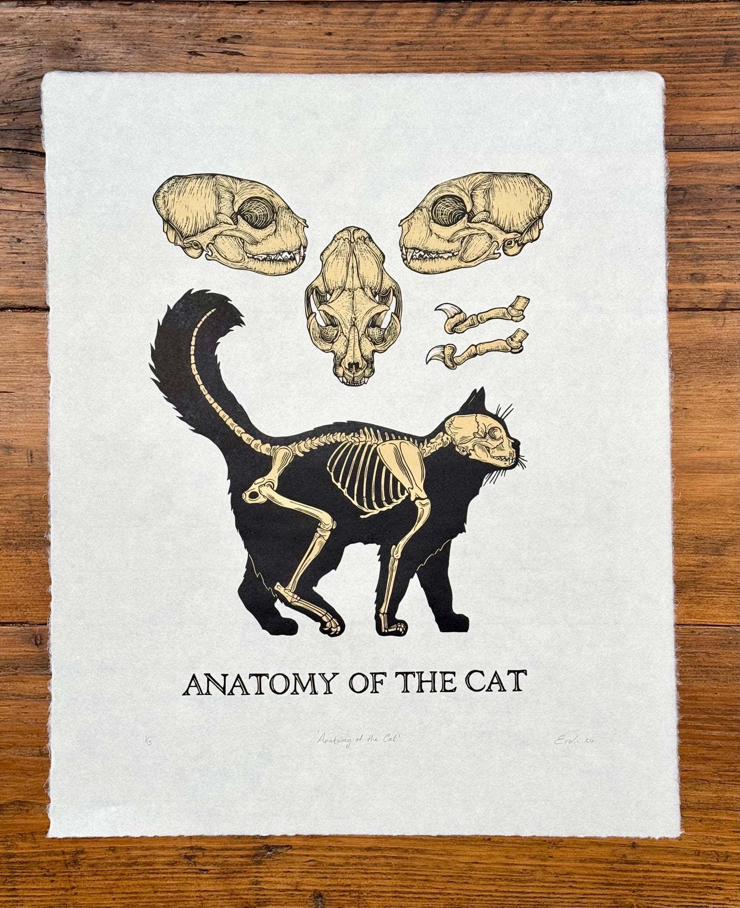 Cat Anatomy linocut prints