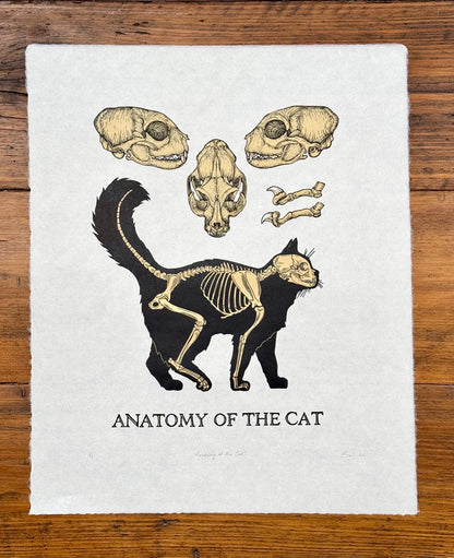 Cat Anatomy linocut prints