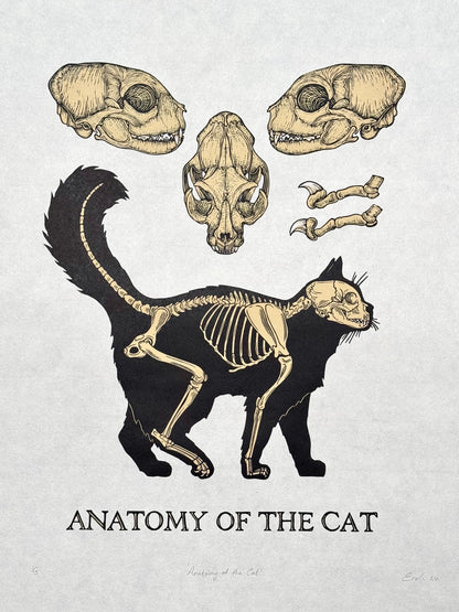 Cat Anatomy linocut prints