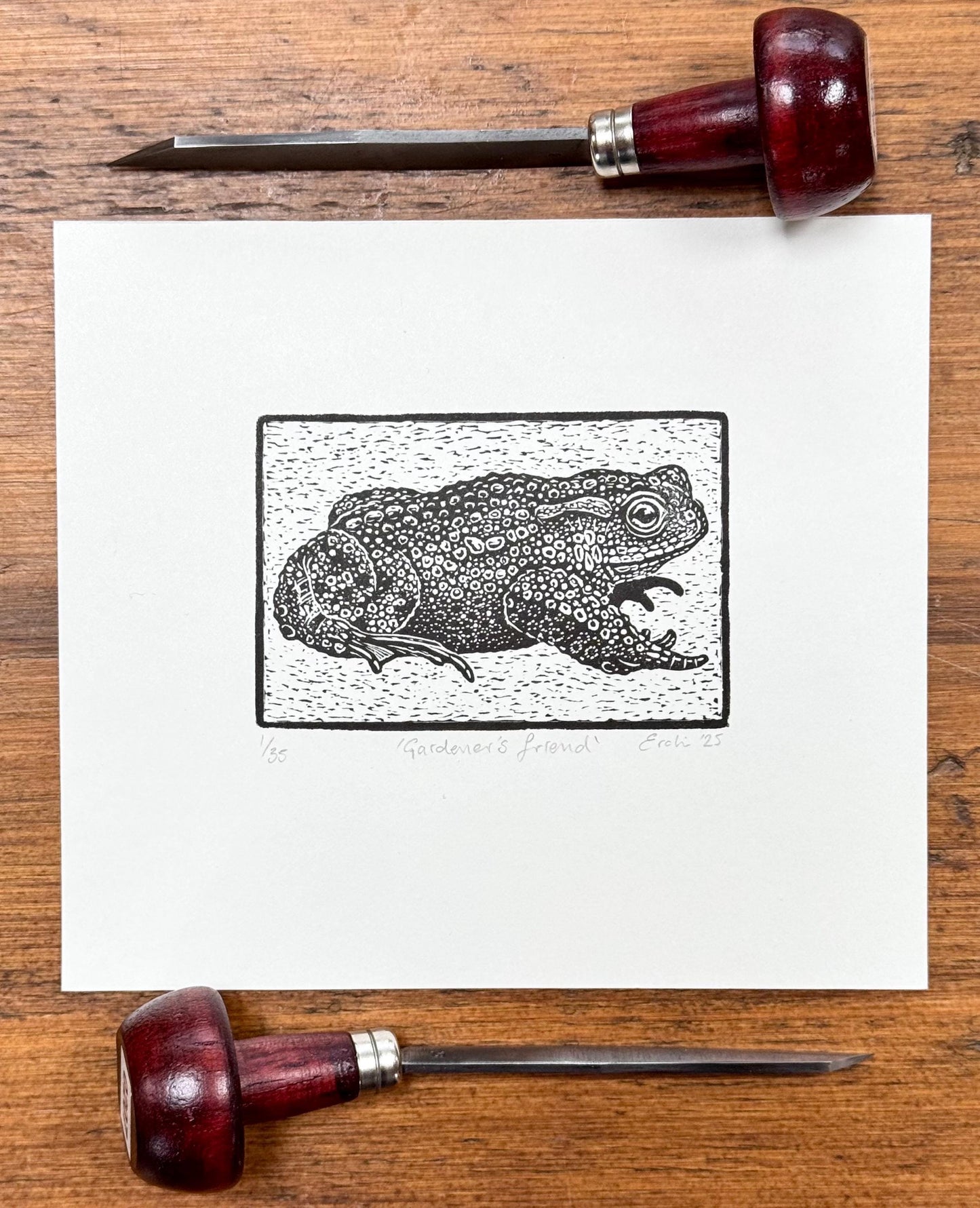 Toad wood engraving