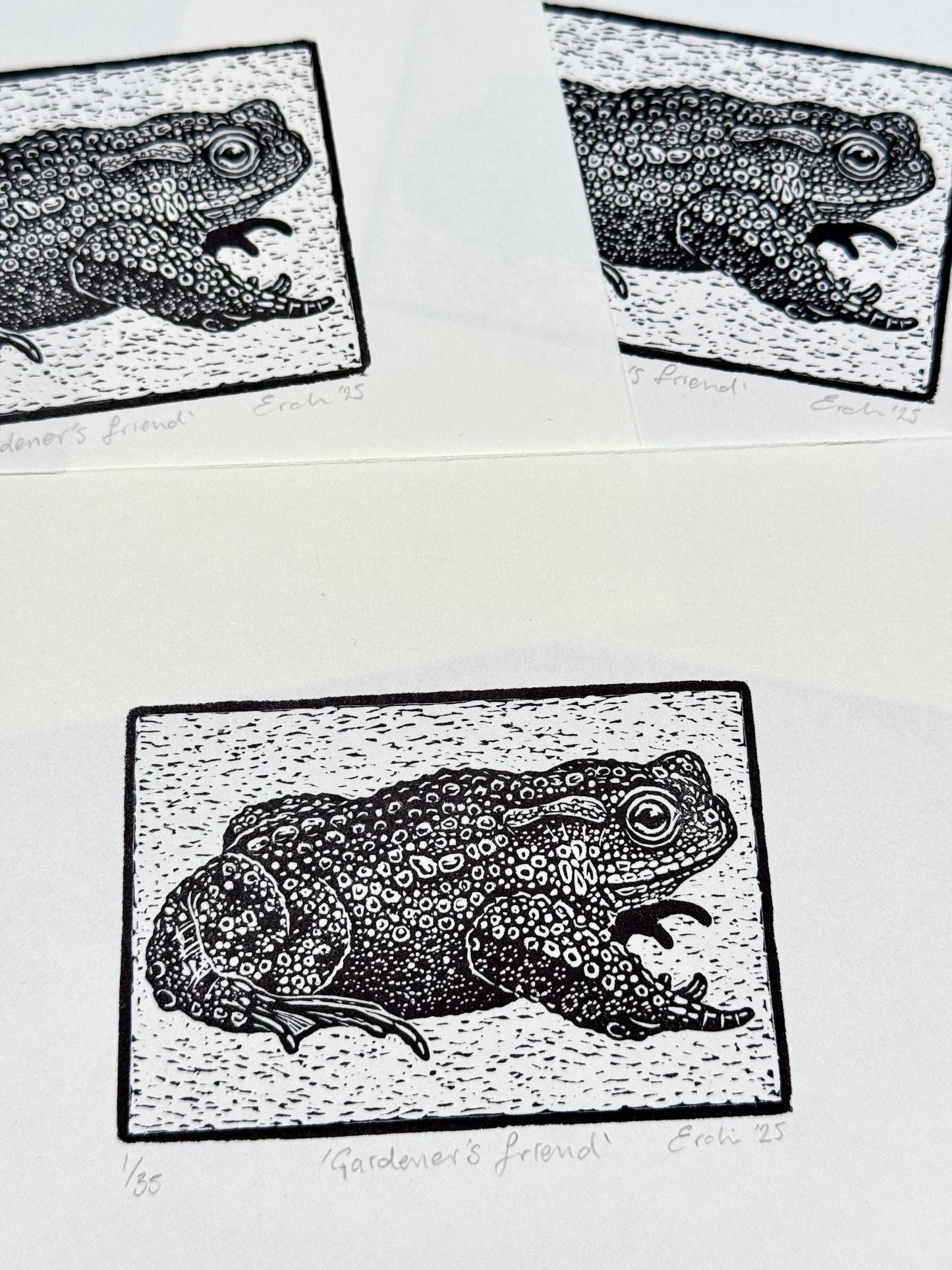 Toad wood engraving