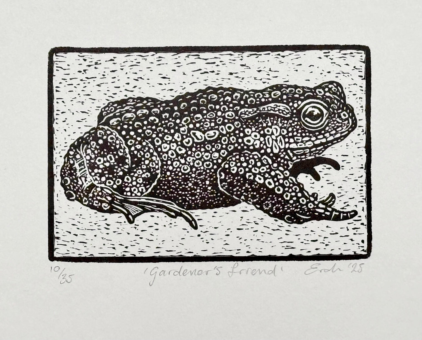 Toad wood engraving