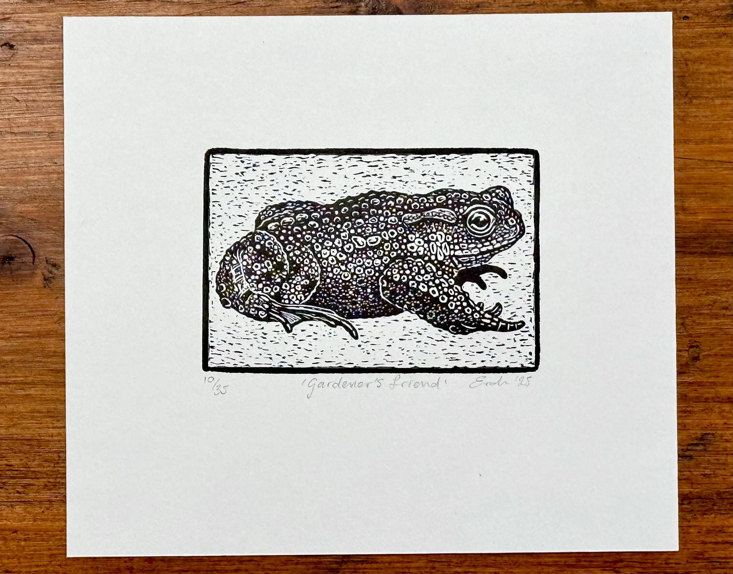 Toad wood engraving