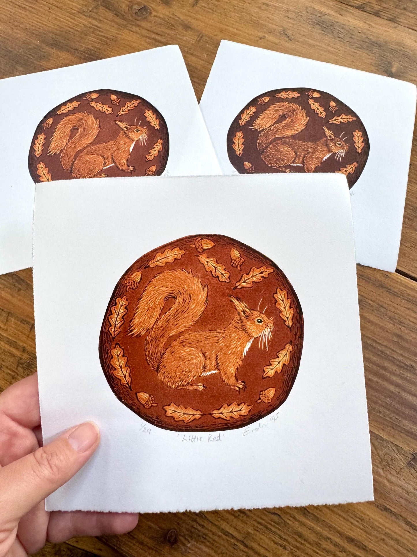 Red squirrel - hand printed original wood engraving