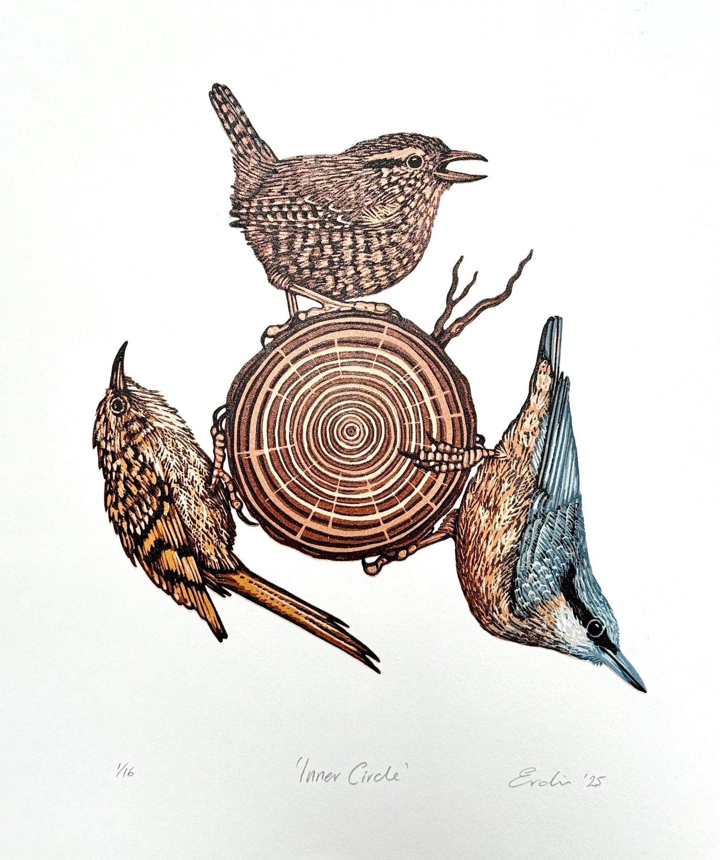 Inner Circle - original linocut print of birds (colour)