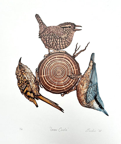 Inner Circle - original linocut print of birds (colour)