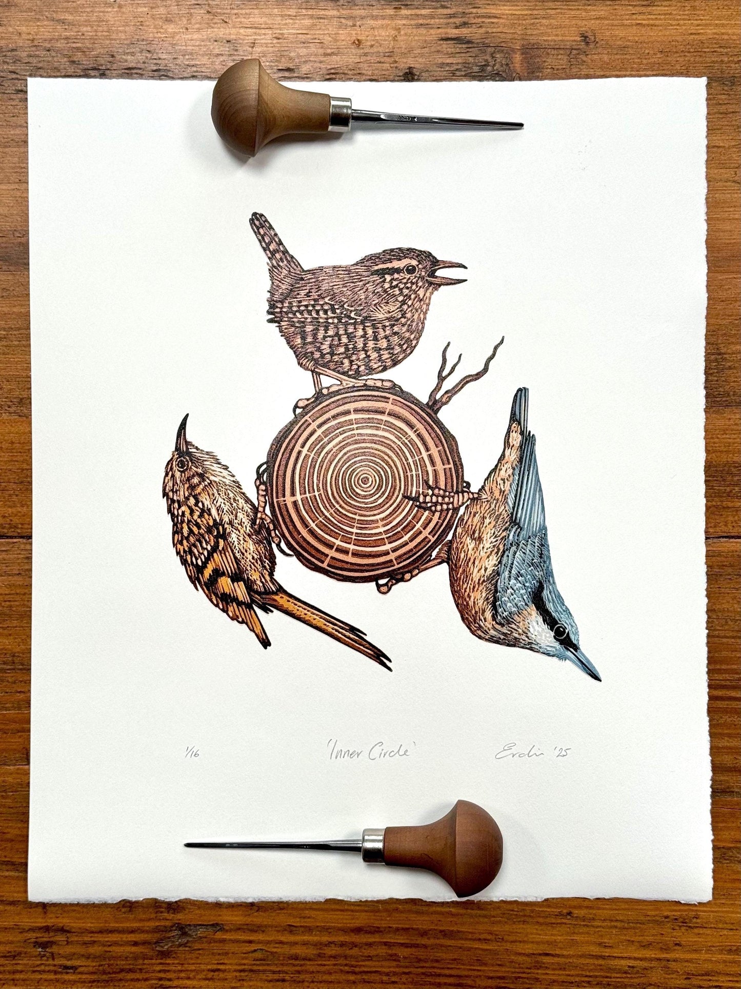 Inner Circle - original linocut print of birds (colour)