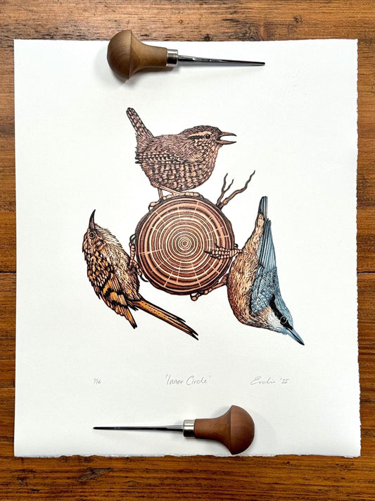 Inner Circle - original linocut print of birds (colour)