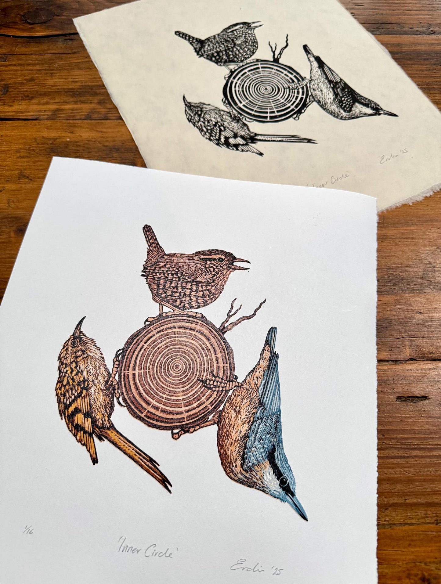 Inner Circle - original linocut print of birds (colour)