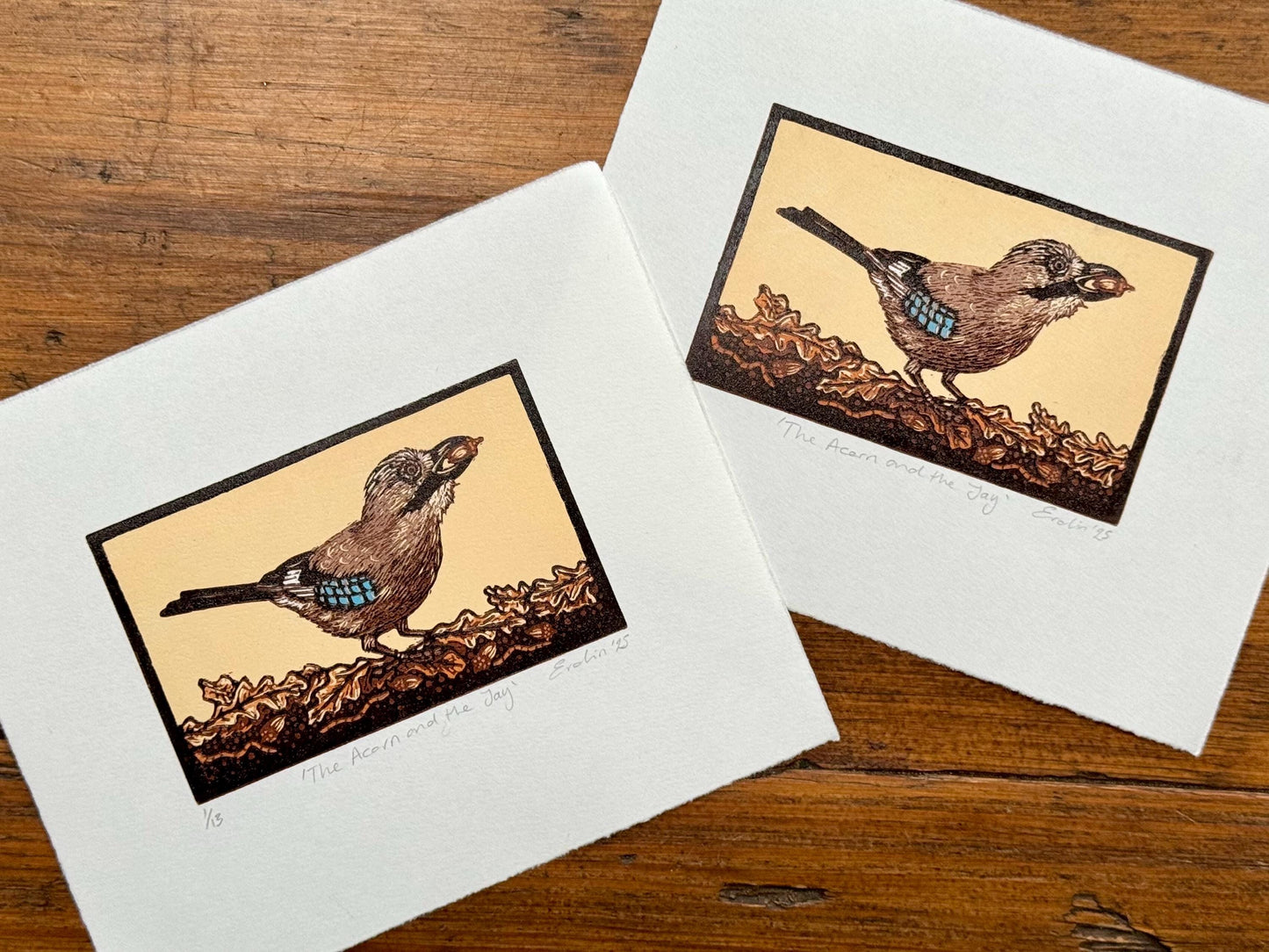 Jay - hand printed original wood engraving