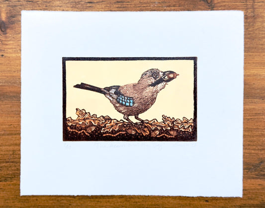 Jay - hand printed original wood engraving