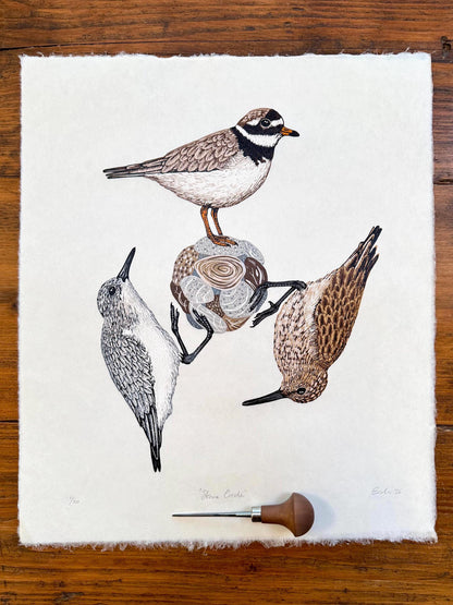 Stone Circle - original linocut print of three wading birds